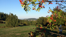Blick Richtung Goslar vom Steinberg